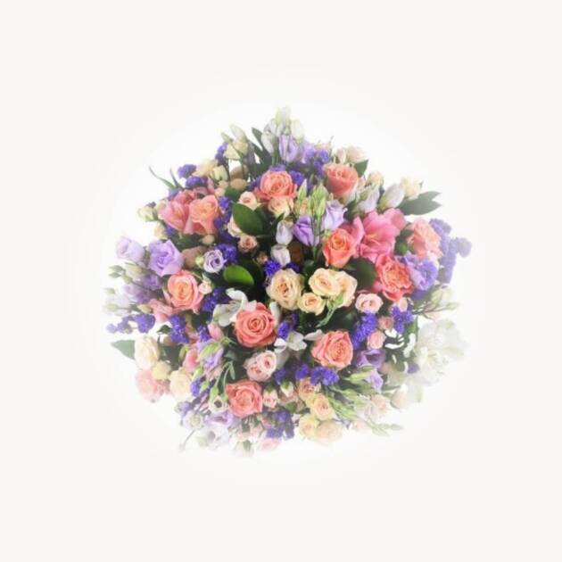 Gentleness & Admiration