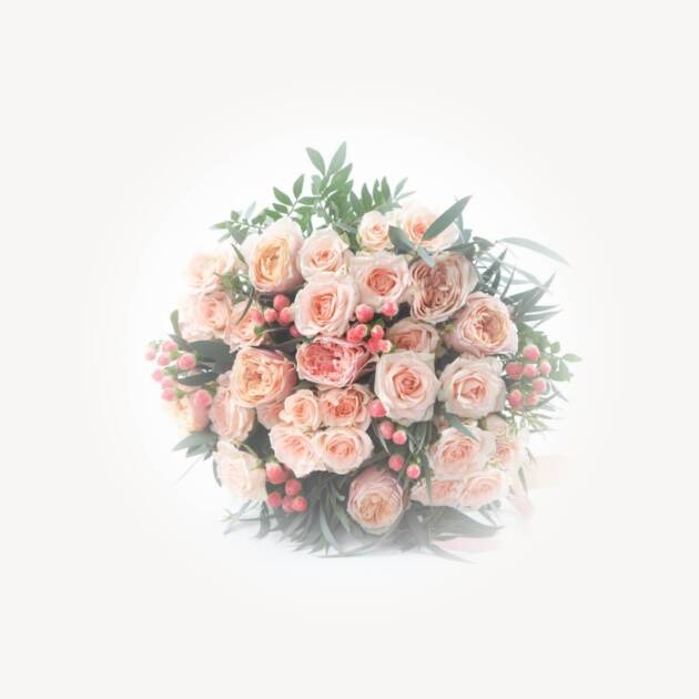 Modesty & Gentleness